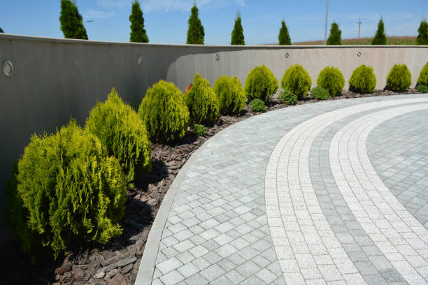 Best Decorative Driveway Pavers  in Terrell Hills, TX